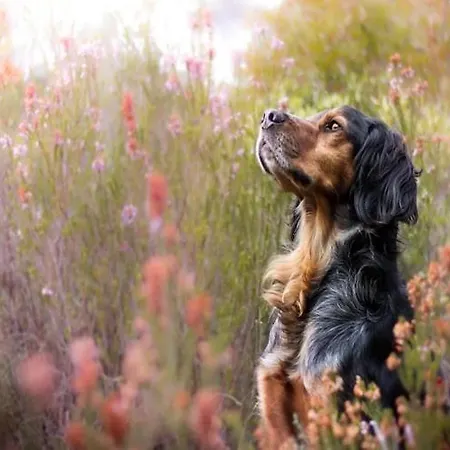 Comfortable With A Private Garden بيت للعطل *