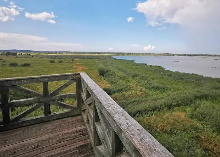 Casa de Férias Comfortable With A Private Garden Debina (Ustka)