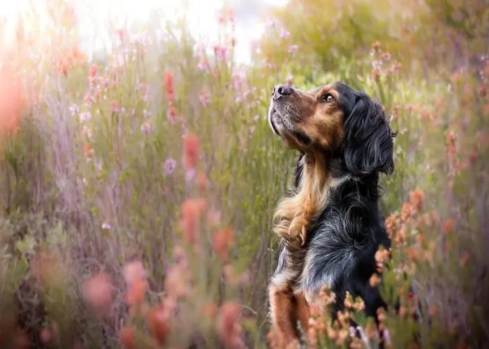Comfortable With A Private Garden Casa de Férias *